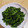 ラリー＆サラ's cooksnap of when they made お弁当にも◎簡単菜の花のからし和え.