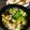 かなぽん☆☆'s cooksnap of when they made 簡単アヒージョ.