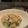 クックリカー's cooksnap of when they made 帆立・ほうれん草・エリンギ 豆乳煮.