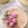 yocchi2109's cooksnap of when they made ❀❀桜ティラミスケーキ❀❀.