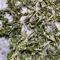 Yummnoa's cooksnap of when they made 自家製：乾燥ヨモギ♪.
