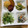 ☆あさ's cooksnap of when they made チーズ in ポテトの いが揚げ ☆.