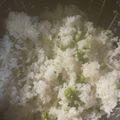kitchenＫ's cooksnap of when they made 豆ご飯『きのう何食べた？』#33.
