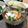 あず7225's cooksnap of when they made ☆簡単☆シーザーサラダ.