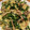 クック2DCB1D☆'s cooksnap of when they made 超簡単失敗なし♪ニラの卵とじ(^-^).