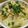 茶と餅's cooksnap of when they made 手軽なフランス料理【ドフィノワ（生胡椒）.