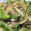 ★なみ☆'s cooksnap of when they made 豚とたまねぎとピーマンの甘辛炒め.