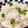 クックG1CG0C☆'s cooksnap of when they made 豆ごはん.