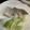 ポメちょん's cooksnap of when they made レンジで簡単♪料亭の味！鯛の酒蒸し.