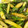 kiki529's cooksnap of when they made アスパラのバターしょうゆ炒め.
