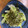手抜きクック's cooksnap of when they made レタスと海苔のめんつゆマヨサラダ.