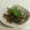 umemodoki's cooksnap of when they made 保存食に、ふきの佃煮(きゃらぶき).