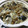 ★なみ☆'s cooksnap of when they made 【農家のレシピ】きのこ鍋.