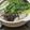 ★なみ☆'s cooksnap of when they made きのことほうれん草の鍋.