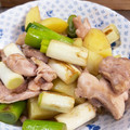 ミアンミアン's cooksnap of when they made 長ネギ☆鶏もも肉の塩炒め.