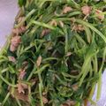 kinkinsan's cooksnap of when they made 豆苗とツナのサラダ.