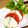 むぎちゃんkkt's cooksnap of when they made トマトとモッツァレラとバジルのカプレーゼ.