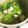 YU♡CO's cooksnap of when they made ささみとレタスの中華スープ◇ダイエットに.