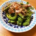hirose3939's cooksnap of when they made こごみのお浸し.