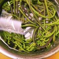 喜八＆Hacchi's cooksnap of when they made 【重曹無しでもＯＫ♪】わらびのあく抜き.