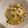 ピーナッツ子♪'s cooksnap of when they made 一手間でとても美味しい！トロトロ親子丼★.