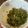 クックKCRHOD☆'s cooksnap of when they made スギナの生姜たっぷり佃煮.