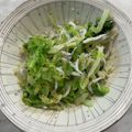 春巻きママ's cooksnap of when they made キャベツとしらすのゴマごまサラダ.