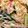 クックOX59B5☆'s cooksnap of when they made きょうの料理 かにらたま.