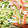 クッキングクック's cooksnap of when they made かにかまときゅうりの中華風サラダ.