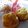 gundogs's cooksnap of when they made ふわふわココナッツミルクのケーキ.