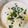 わわわわーい's cooksnap of when they made ウェイパーで♡ふわふわ牛乳味噌うどん.