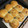 わかちんとシロ's cooksnap of when they made ぷちぷち黒ごまちぎりパン.