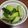 クックH86AFM☆'s cooksnap of when they made お箸が止まらないキュウリの中華和え.