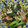 クック6DDPP8☆'s cooksnap of when they made ニラとエノキのさっと煮（煮びたし）☆.