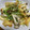 クックNKEA36☆'s cooksnap of when they made 豆苗とエリンギと油揚げの炒め物.