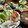 nnaokomann's cooksnap of when they made 大根ときゅうりのソムタム風サラダ.