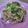 クック☆アギラ's cooksnap of when they made ネギと春雨の沙茶醤サラダ.