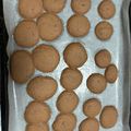えざちゃん's cooksnap of when they made サクほろ！ココアの絞り出しクッキー.