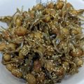 ぶじりん's cooksnap of when they made 大豆と煮干しのごまがらめ/七尾市給食.