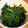 arinko0105's cooksnap of when they made 簡単☆箸が止まらなくなるニラの胡麻和え.