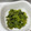 Etsu☆ko's cooksnap of when they made 簡単！生わかめの茹で方.