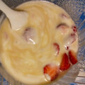 xyzクック's cooksnap of when they made 甘酒とヨーグルトの簡単アイス.