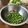 すみっコ歯ブラシ's cooksnap of when they made スナップエンドウの豆だけ冷凍保存.