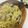 minori！！'s cooksnap of when they made しめじの和風パスタ.