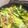 Okecchan's cooksnap of when they made 小松菜と牛肉のピリ辛炒め.