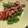 くーー〜's cooksnap of when they made 豚の生姜焼き★一人前〜ごはんによく合う！.