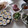 きらり流れ星's cooksnap of when they made 簡単☆1分！きゅうり＆塩ごま油.