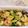 クックBMIHKZ☆'s cooksnap of when they made 小松菜と海老のうま塩炒め.
