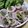 クックLCG9UJ☆'s cooksnap of when they made ベジ♪レンジで！もやしと豆苗の肉巻き.