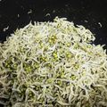 らて❗️'s cooksnap of when they made 自家製ちりめん山椒.